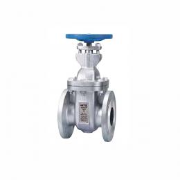 Van cổng chìm gang nối bích EN16FCW